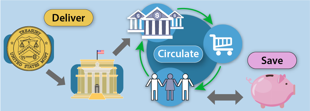 Deliver: The U.S. Mint sends coins to Federal Reserve Banks, who then sends them to banks across the U.S. Circulate: Coins cycle between banks, people, and stores. Save: Coins stop circulating when they're put in piggy banks and coin jars.